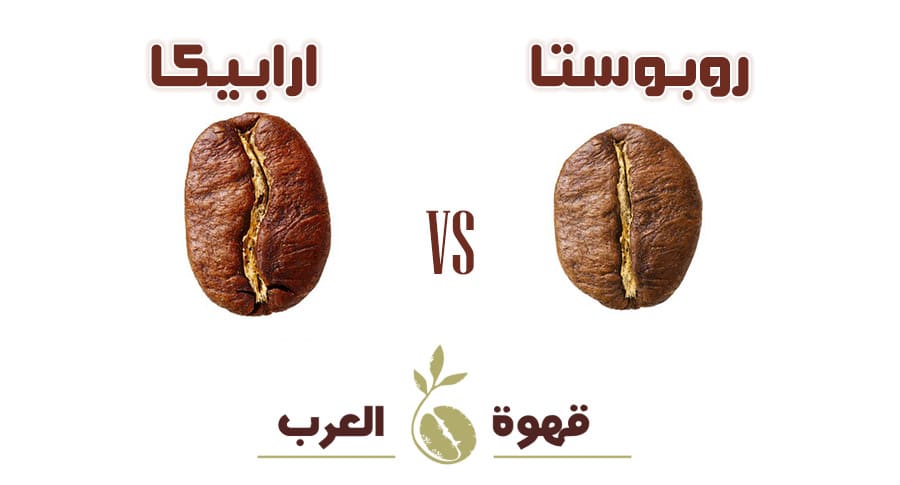 مقارنة بين قهوة ارابيكا و قهوة روبوستا